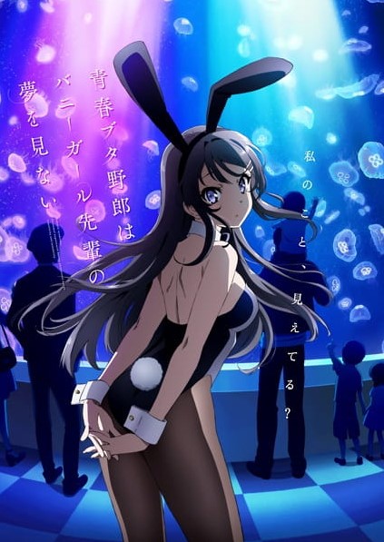 Seishun Buta Yarou wa Bunny Girl Senpai no Yume wo Minai เรื่องฝันปั่นป่วยของผมกับรุ่นพี่บันนี่เกิร์ล  ตอนที่ 1-13 ซับไทย